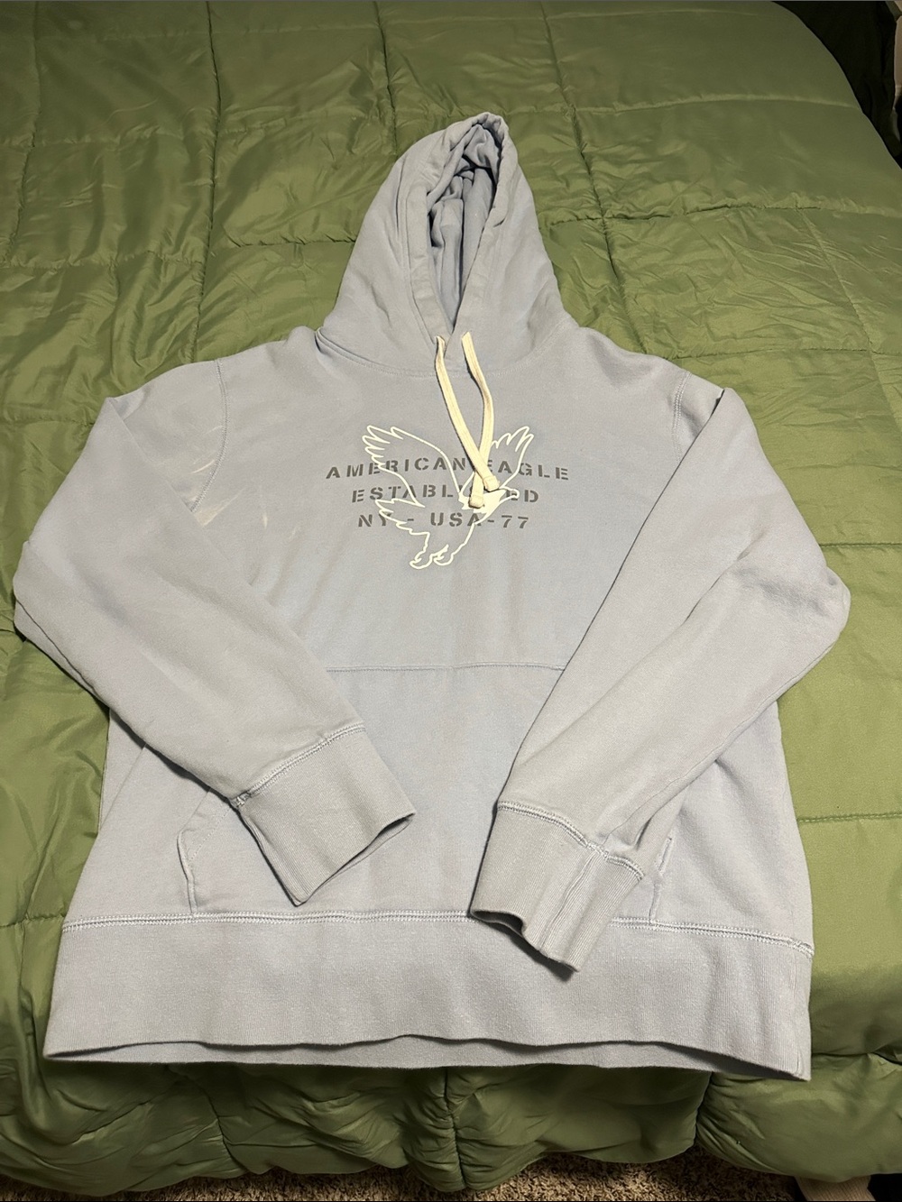 American Eagle Outfitters Pale Blue Crewneck Hoodie